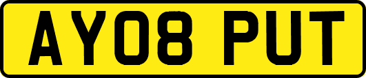 AY08PUT