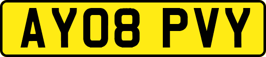AY08PVY