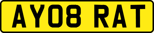 AY08RAT