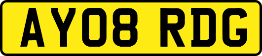 AY08RDG