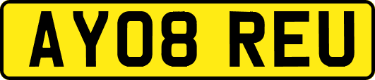 AY08REU