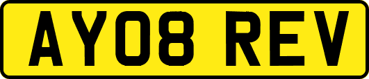 AY08REV