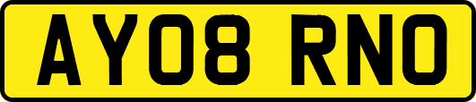AY08RNO