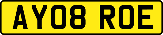 AY08ROE