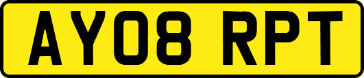 AY08RPT
