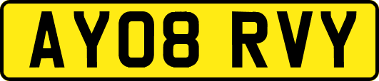 AY08RVY