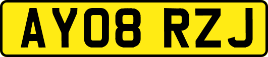 AY08RZJ