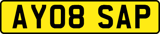 AY08SAP