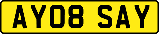 AY08SAY
