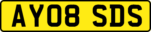AY08SDS