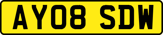 AY08SDW