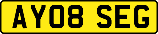 AY08SEG