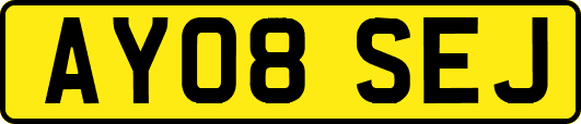 AY08SEJ