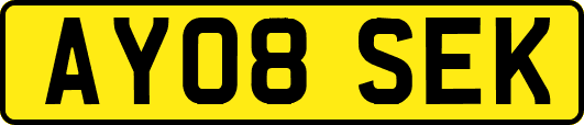 AY08SEK