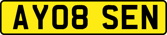 AY08SEN