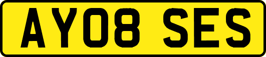 AY08SES
