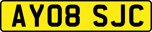 AY08SJC