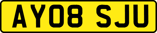 AY08SJU