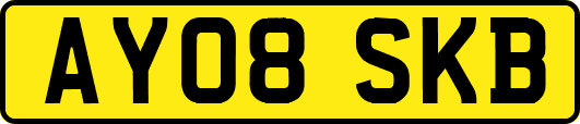 AY08SKB