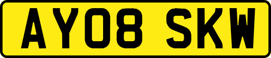 AY08SKW