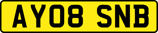 AY08SNB