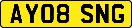 AY08SNG