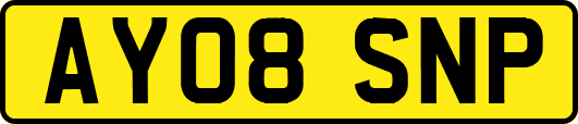 AY08SNP