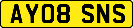AY08SNS