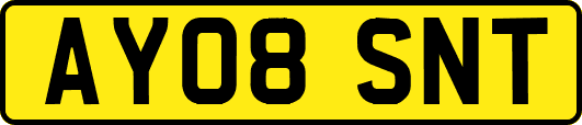 AY08SNT