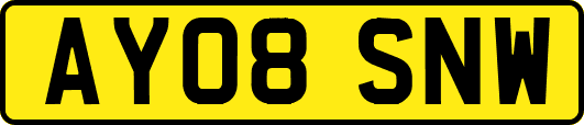 AY08SNW