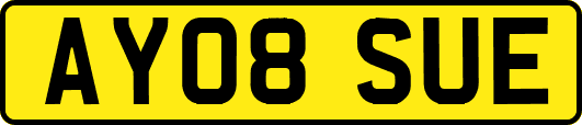AY08SUE