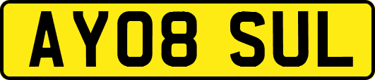 AY08SUL