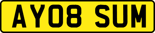 AY08SUM