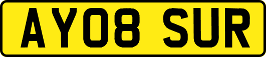 AY08SUR