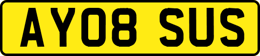 AY08SUS