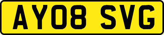 AY08SVG