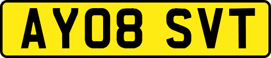 AY08SVT