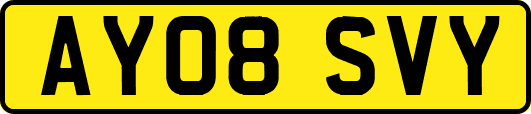 AY08SVY