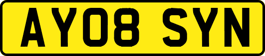 AY08SYN