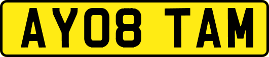 AY08TAM