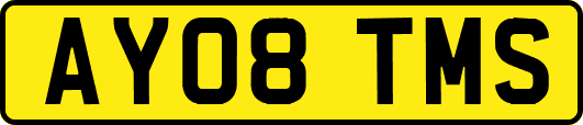 AY08TMS
