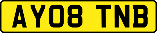 AY08TNB