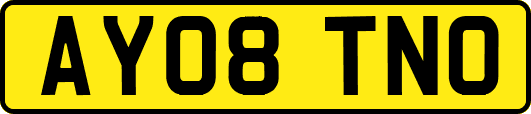 AY08TNO
