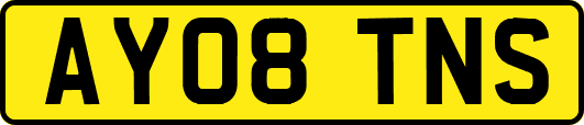 AY08TNS