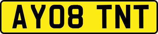 AY08TNT