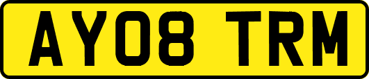AY08TRM