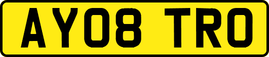 AY08TRO