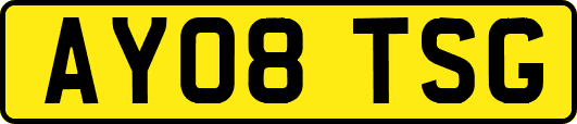 AY08TSG