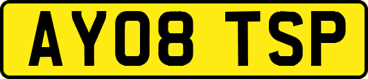 AY08TSP