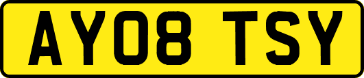 AY08TSY